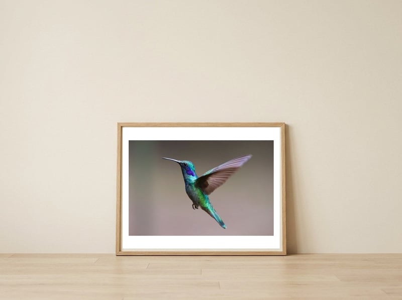 Hummingbird flying — framed, leaning against the wall