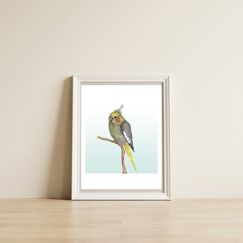 Cute cockatiel 	 — framed, leaning against the wall