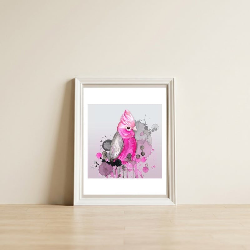 Galah cockatoo — framed, leaning against the wall