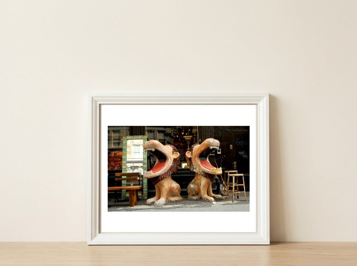 Thrift shop, New York. — framed, leaning against the wall