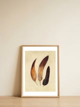 Three Feathers — framed, leaning against the wall thumbnail