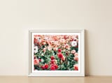 Meadow — framed, leaning against the wall thumbnail