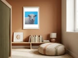 Sheep framed in a gentle room thumbnail