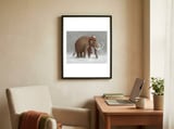 The Ice Age Sucked framed in a focused room thumbnail
