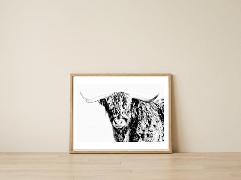 Highland bull — framed, leaning against the wall