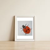 Ladybird  — framed, leaning against the wall thumbnail