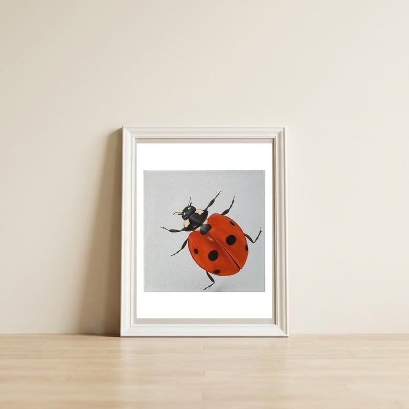 Ladybird  — framed, leaning against the wall
