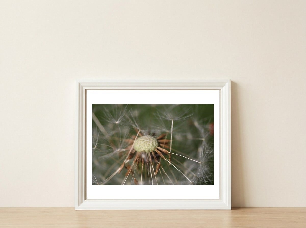 Dandelion Seeds — framed, leaning against the wall