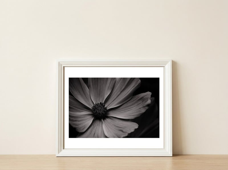 Black And White Flower — framed, leaning against the wall