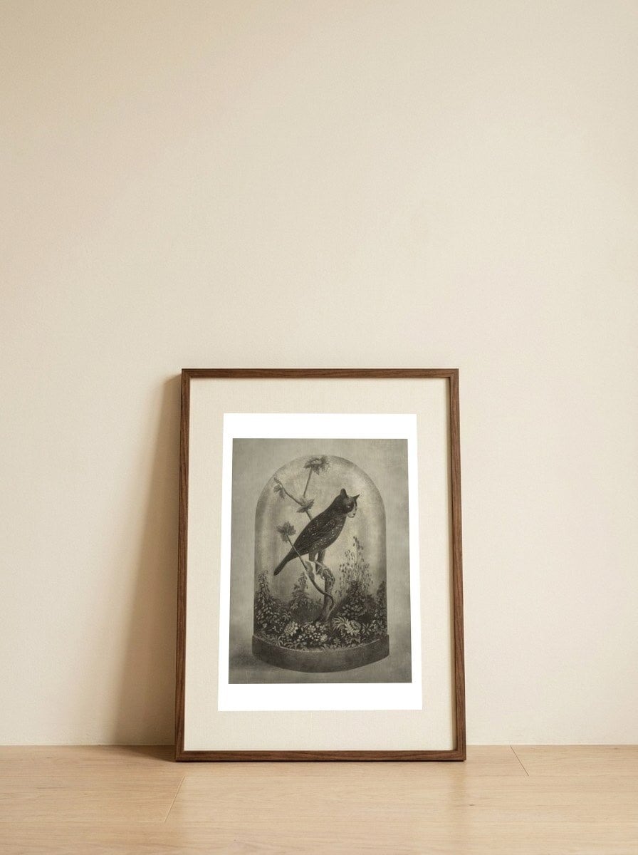 The Curiosity — framed, leaning against the wall