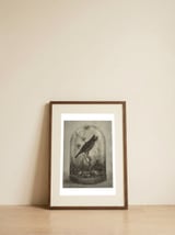 The Curiosity — framed, leaning against the wall thumbnail