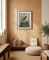 The Curiosity framed in a gentle room thumbnail