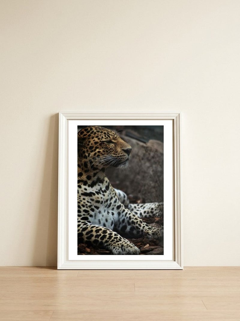 Leopard — framed, leaning against the wall