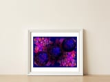 Hearts Of Planet Earth — framed, leaning against the wall thumbnail