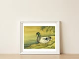 Mallard — framed, leaning against the wall thumbnail