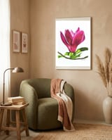 Single Magnolia framed in a tender room thumbnail