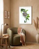 Passion Flower framed in a tender room thumbnail