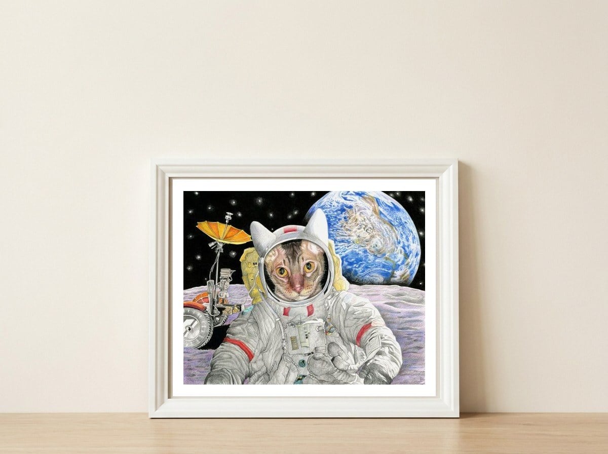 Nasacatadjustcolor — framed, leaning against the wall