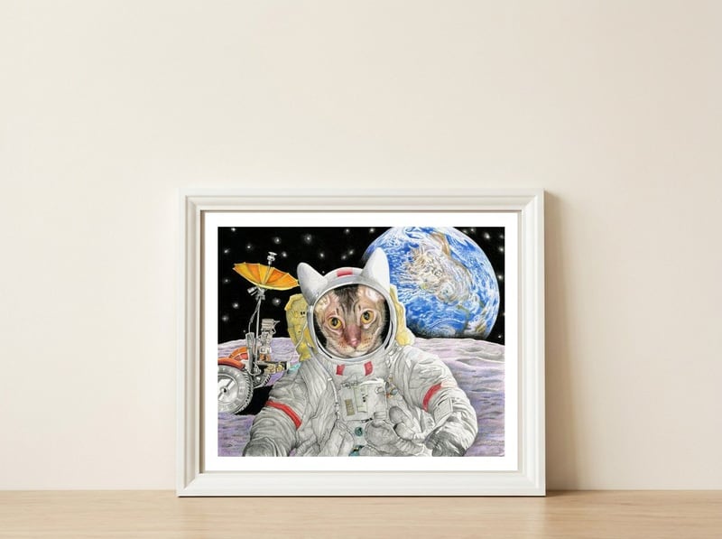 Nasacatadjustcolor — framed, leaning against the wall