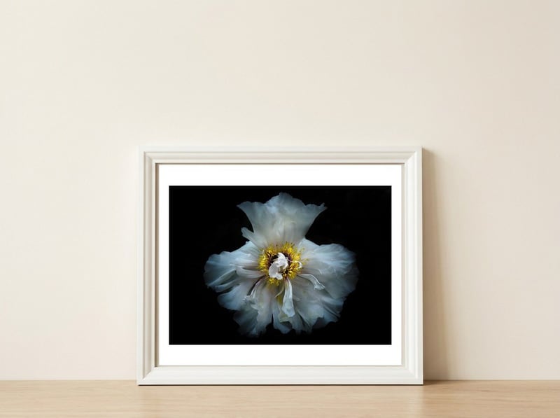 Backyard Flowers 49 Color Version — framed, leaning against the wall
