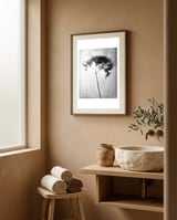 Hydrangea framed in a serene room thumbnail
