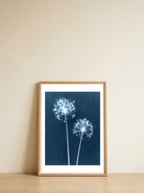Indigo Dandelion — framed, leaning against the wall thumbnail