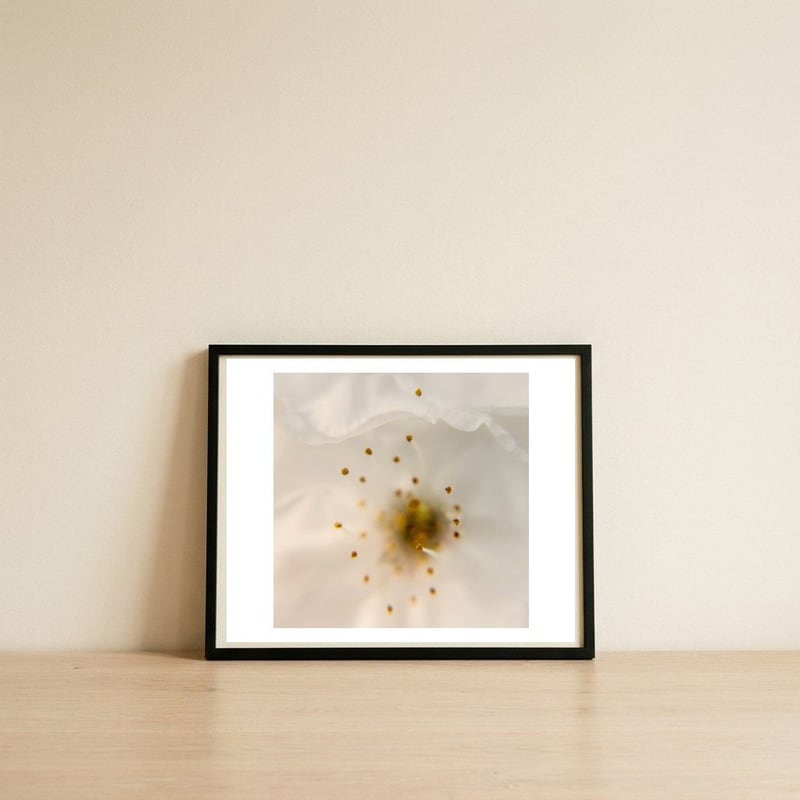 Milk Blossom — framed, leaning against the wall