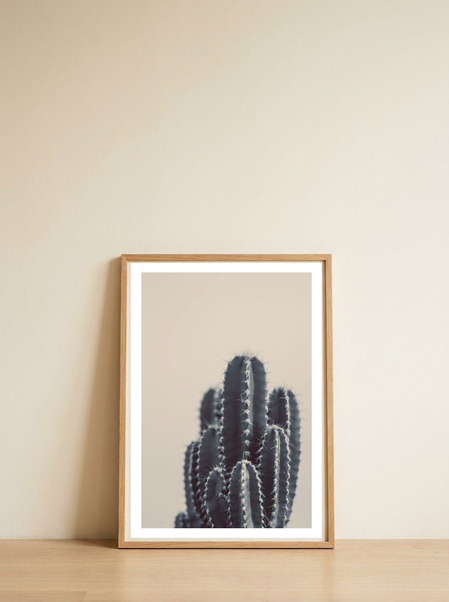 Vintage Cactus #1 — framed, leaning against the wall