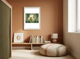 Green Jungle Toucans 2 framed in a gentle room thumbnail