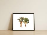 The Palms — framed, leaning against the wall thumbnail