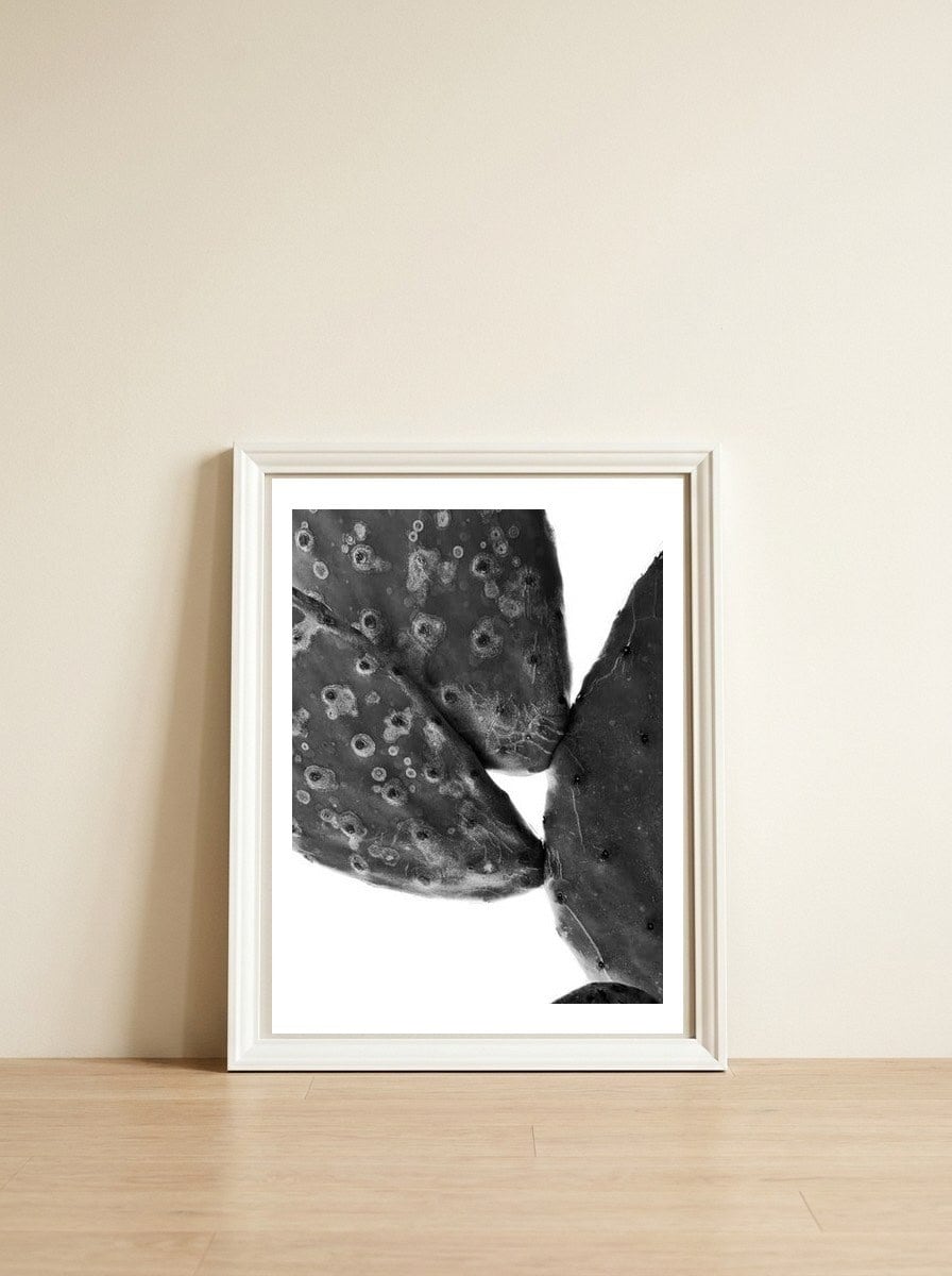 Black Cactus — framed, leaning against the wall