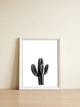 Cactus Black And White 03 — framed, leaning against the wall thumbnail