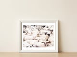 The Herd — framed, leaning against the wall thumbnail