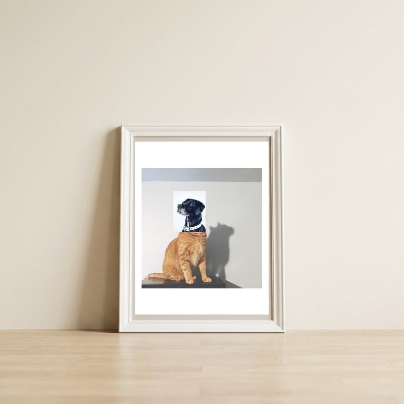 Domestic Animal — framed, leaning against the wall