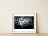 the sheep — framed, leaning against the wall thumbnail