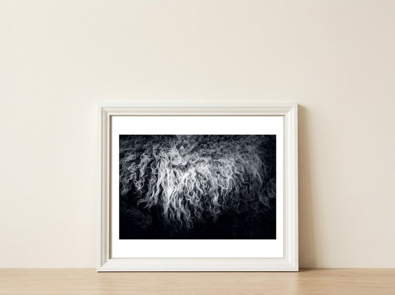 the sheep — framed, leaning against the wall
