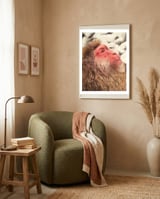 Japanese Macaque At The Onsen framed in a tender room thumbnail