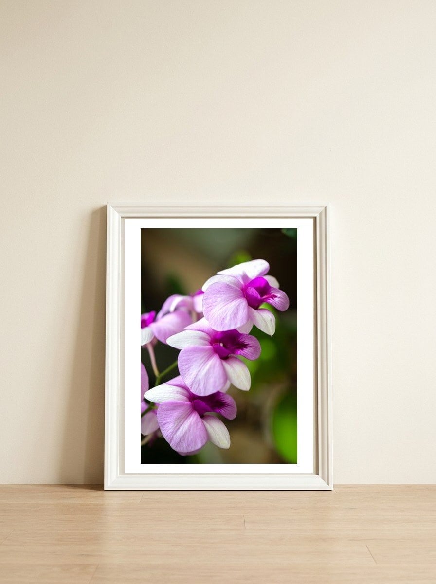Orchidee — framed, leaning against the wall