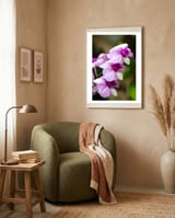 Orchidee framed in a tender room thumbnail
