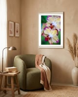Orchidee Phalleanopsis framed in a tender room thumbnail