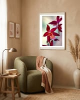 Orchidee Flower framed in a tender room thumbnail