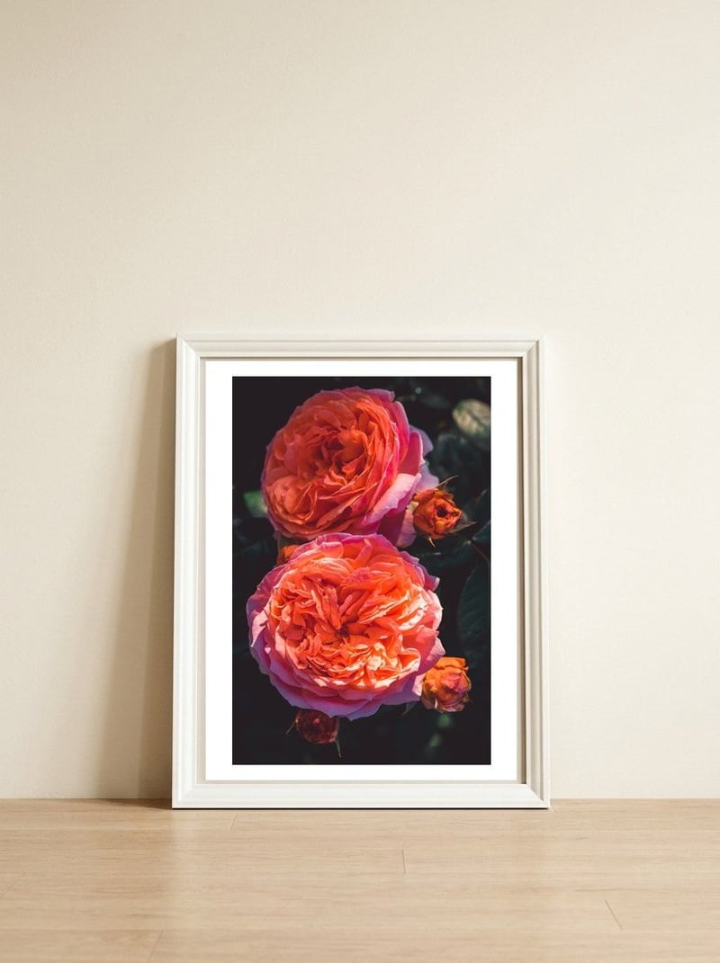 Rose Flowers — framed, leaning against the wall