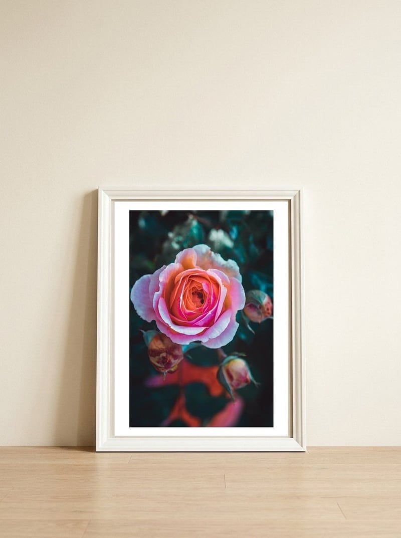 delicate rose — framed, leaning against the wall