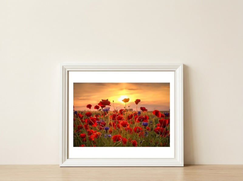 Poppies Sunset — framed, leaning against the wall