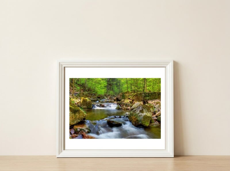 Spring At Harz Moutain — framed, leaning against the wall