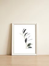 Untitled #14 - Eucalyptus — framed, leaning against the wall thumbnail
