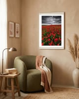 Wild Poppies framed in a tender room thumbnail