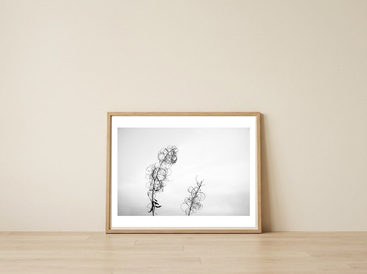 maybe — framed, leaning against the wall