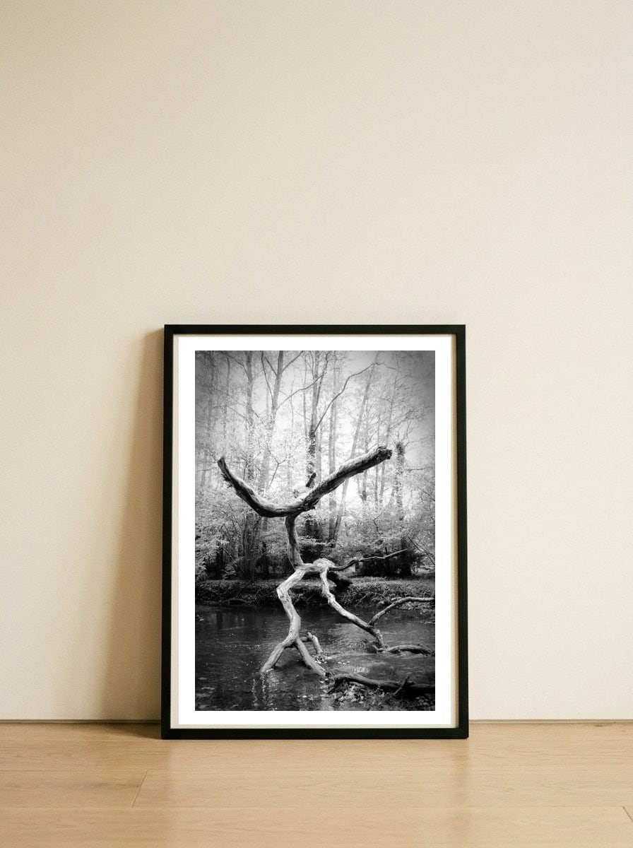 the negotiator — framed, leaning against the wall