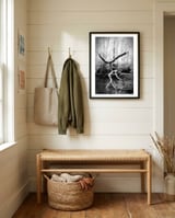 the negotiator framed in a relaxed room thumbnail